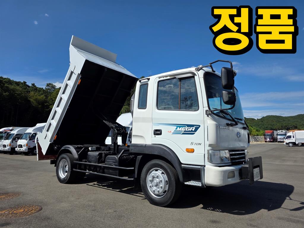 5톤 덤프 2006년식 사진 1